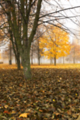 Image showing Autumn Park, overcast