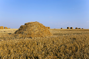 Image showing haystacks straw , summer