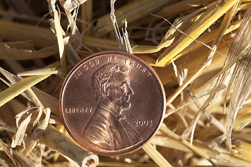 Image showing coin in the straw