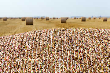 Image showing stack of straw in the field