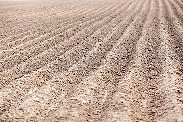 Image showing plowed field, furrows