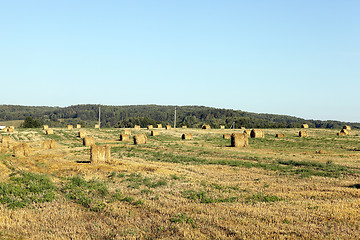 Image showing stack of wheat straw