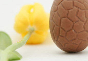 Image showing tulip and candy egg