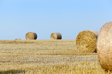 Image showing stack of straw in the field