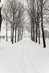 Image showing winter road , snow