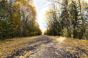 Image showing road in the autumn season