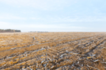 Image showing plowed land, frost