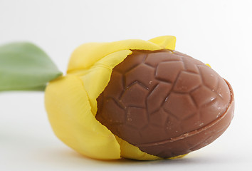 Image showing laying easter egg