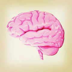 Image showing Human brain. 3D illustration. Vintage style.