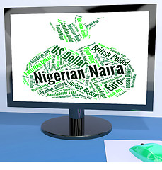 Image showing Nigerian Naira Means Forex Trading And Coin