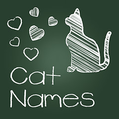 Image showing Cat Names Represents Feline Identity And Cats