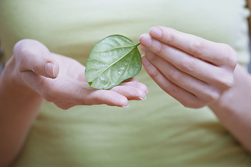 Image showing Woman holding small green leaf