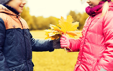 Image showing little boy giving autumn maple leaves to girl