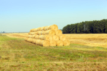 Image showing stack of wheat straw