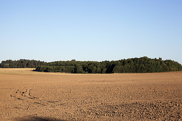 Image showing plowed agricultural field