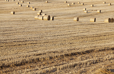 Image showing stack of straw in the field