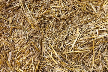 Image showing stack of straw in the field