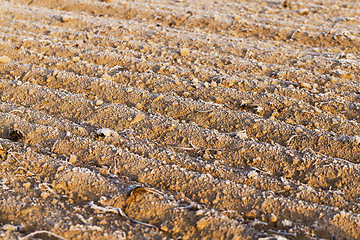 Image showing plowed land, frost