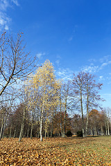 Image showing autumn in the park