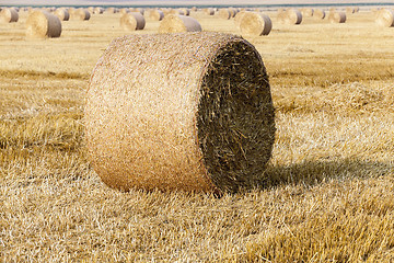 Image showing stack of straw in the field