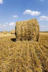 Image showing haystacks straw , summer