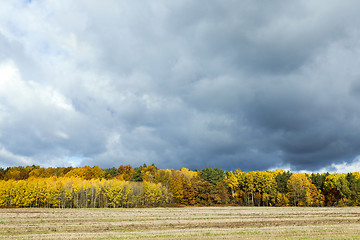 Image showing Nature in autumn season