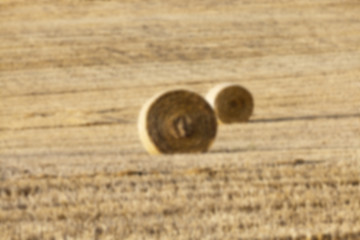 Image showing stack of straw in the field