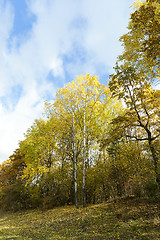 Image showing Nature in autumn season