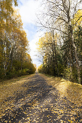 Image showing autumn foliage and rural road,