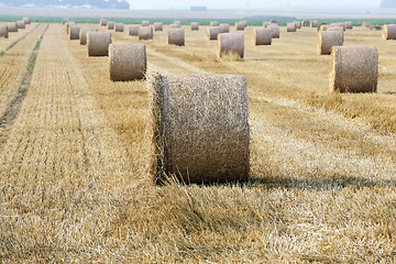 Image showing haystacks in a field of straw