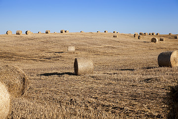 Image showing stack of straw in the field