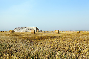 Image showing stack of straw in the field