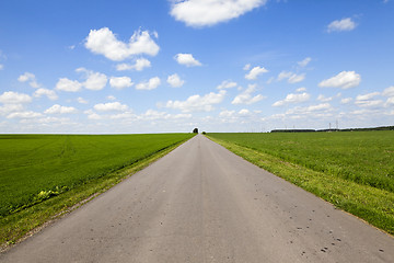 Image showing road in a field