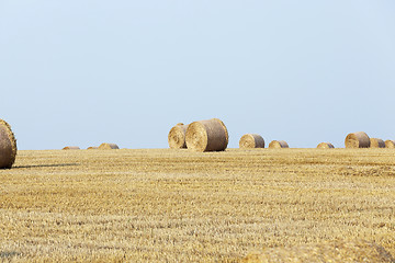 Image showing stack of straw in the field