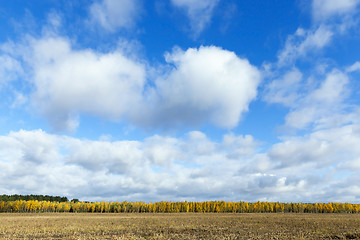 Image showing Nature in autumn season