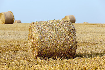 Image showing stack of straw in the field