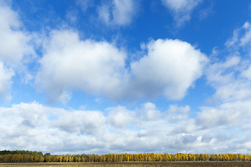 Image showing Nature in autumn season