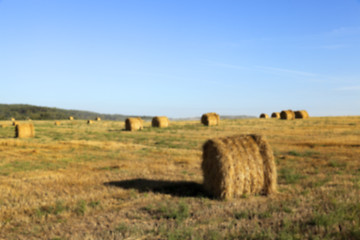 Image showing stack of wheat straw