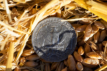 Image showing coin in the straw