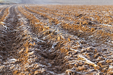 Image showing plowed land, frost