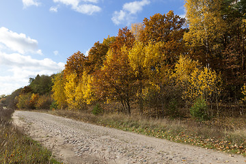 Image showing road in the autumn season