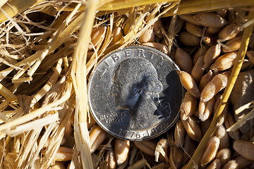 Image showing coin in the straw