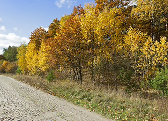 Image showing road in the autumn season