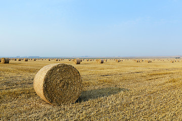 Image showing haystacks in a field of straw