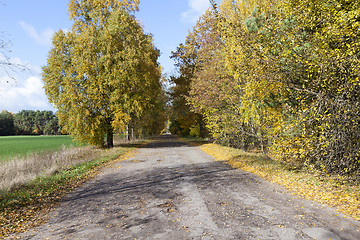 Image showing road in the autumn season