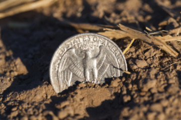 Image showing coin in the straw