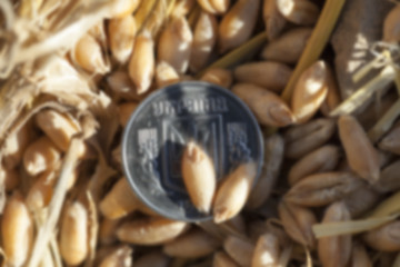 Image showing coin in the straw