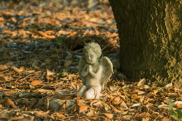 Image showing Little Angel