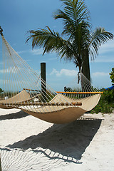 Image showing beach hammock