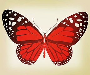 Image showing beauty butterfly. 3D illustration. Vintage style.